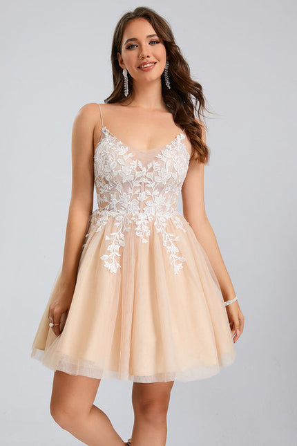 Robe Pastel Rose Col V Tulle Dentelle